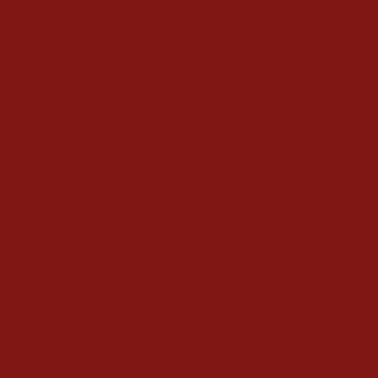 Спортивные напольные покрытия OMNISPORTS R65 RED